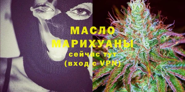 гидра Гусев