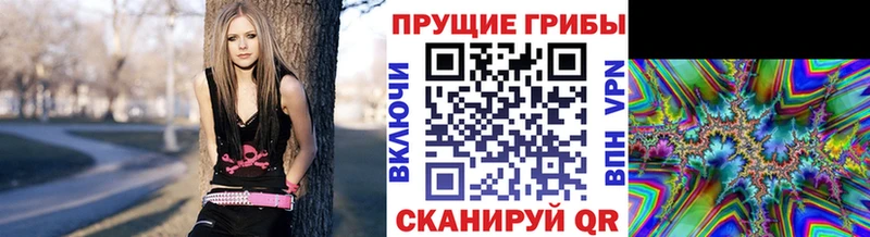 Купить  Зея  Галлюциногенные грибы Magic Shrooms 